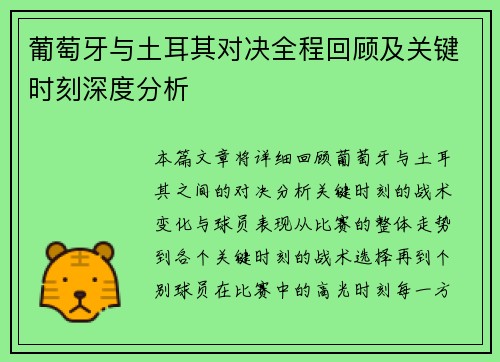 葡萄牙与土耳其对决全程回顾及关键时刻深度分析 葡萄牙与土耳其对决全程回顾及关键时刻深度分析