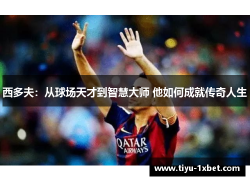 西多夫：从球场天才到智慧大师 他如何成就传奇人生