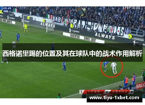 西格诺里踢的位置及其在球队中的战术作用解析 西格诺里踢的位置及其在球队中的战术作用解析