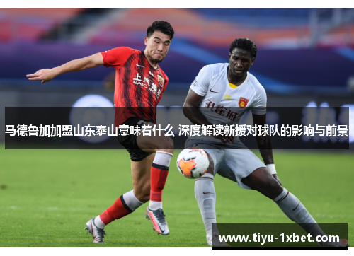 马德鲁加加盟山东泰山意味着什么 深度解读新援对球队的影响与前景