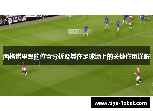 西格诺里踢的位置分析及其在足球场上的关键作用详解 西格诺里踢的位置分析及其在足球场上的关键作用详解