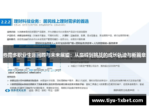 费南多职业生涯回顾与未来展望：从巅峰到挑战的成长轨迹与新篇章