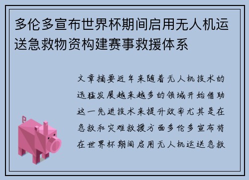 多伦多宣布世界杯期间启用无人机运送急救物资构建赛事救援体系