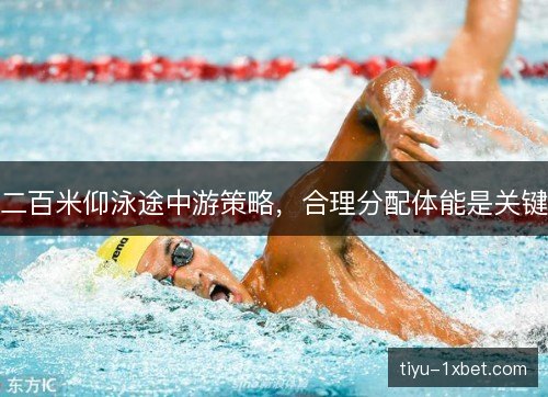二百米仰泳途中游策略,合理分配体能是关键 二百米仰泳途中游策略,合理分配体能是关键